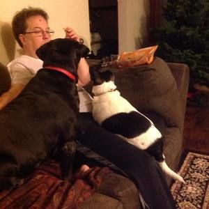 Meet your Posher, Kathy